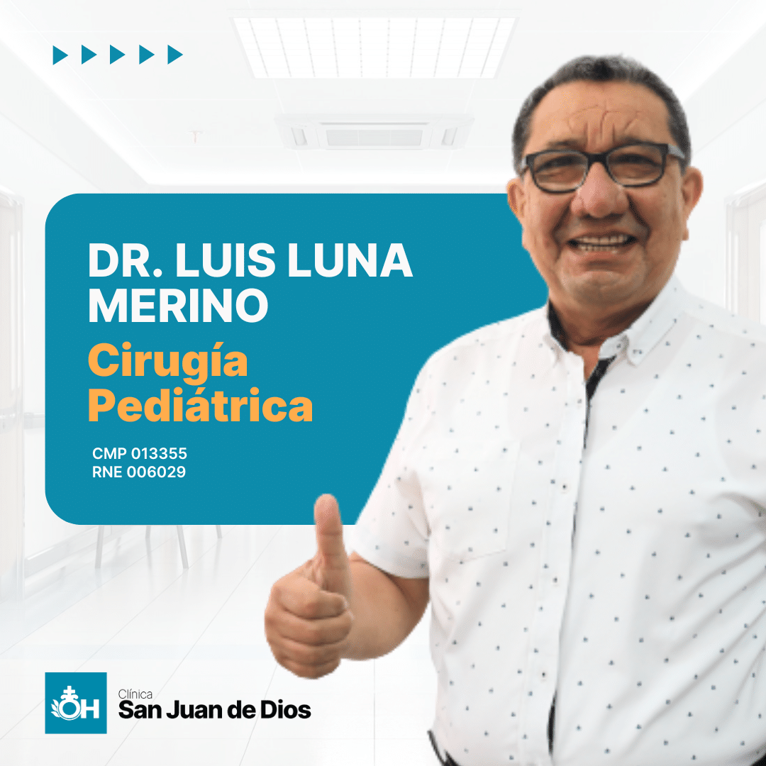 LUNA MERINO LUIS ENRIQUE