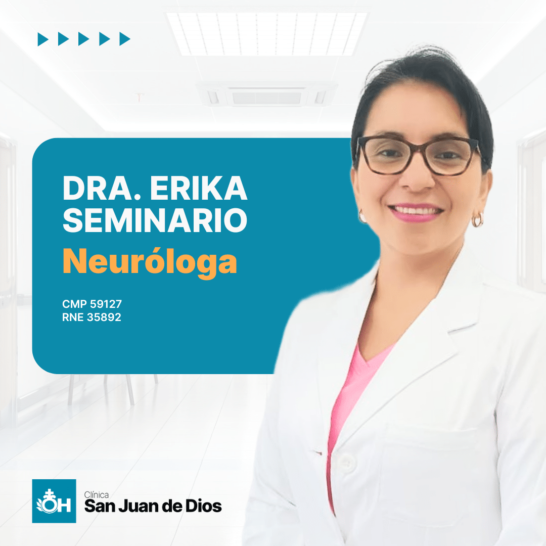 SEMINARIO LUCANA ERIKA JULIANNA